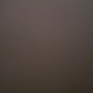 Meet your Posher, Roy